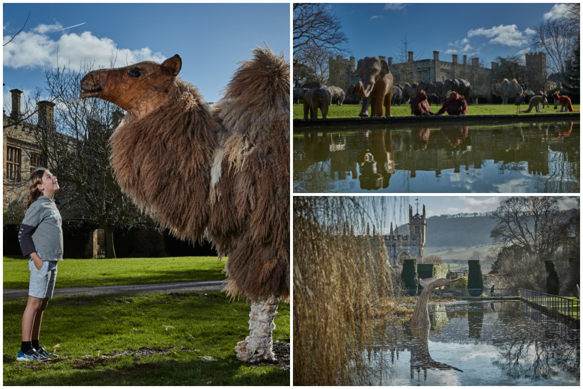 CoExistence Sudeley Castle